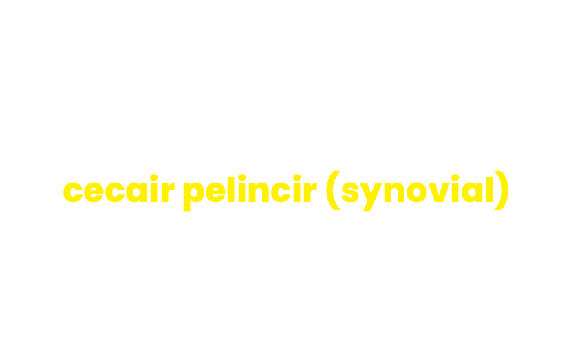 240826 WEBSITE LAXTRON KAPSUL-04